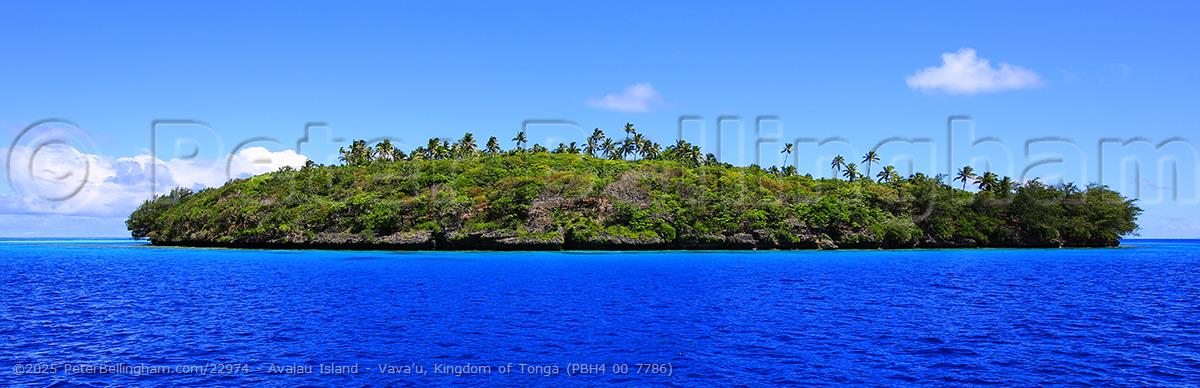 Peter Bellingham Photography Avalau Island - Vava’u, Kingdom of Tonga (PBH4 00 7786)